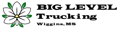 Big Level Trucking Logo (for light background)